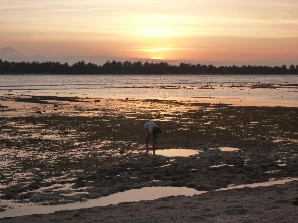 Rose Bungalow Hotel Pemenang Ngoại thất bức ảnh
